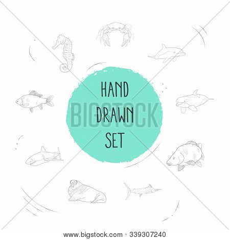 Set Of Seafood Icons Line Style Symbols With Crucian, Atlantic Bottlenose Dolphin, Sea Horse And Oth