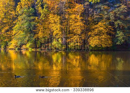 Autumn Morning At Lake Thal Near Graz, Styria Region, Austria