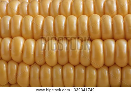 Yellow Corn Pattern Close Up. Texture Of Fresh Golden Sweetcorn Grains
