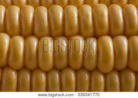 Yellow Corn Pattern Close Up. Texture Of Fresh Golden Sweetcorn Grains