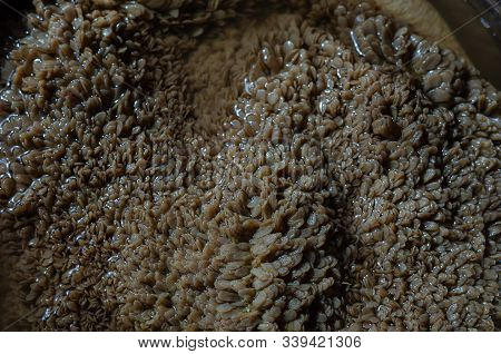 Close-up Of Raw Beef Stomach. Flushing The Stomach Before Cooking. Texture Of Pure Green Beef Stomac