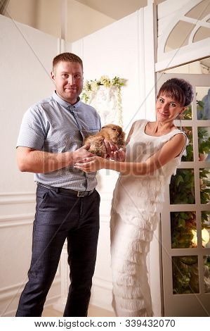 Happy Beautiful Cute Young Couple Together With Rubbit In Nice Room. Love, Celebration, Romantic, St