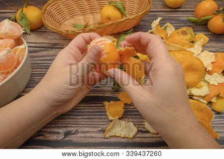 The Girls Hands Are Cleaning Tangerine, Tangerines On A Twig With Green Leaves, Peeled Tangerines In