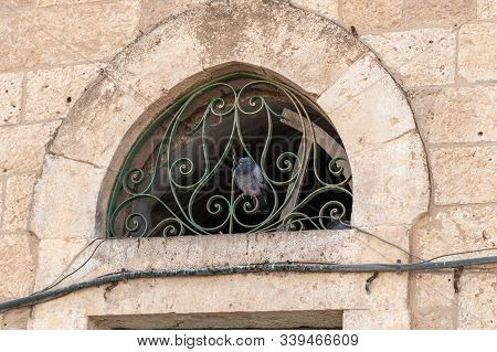 Dove Sits On A Metal Window Grill Of A Mosque Of The Muslim Part Of The Tomb Of The Grave Of The Pro