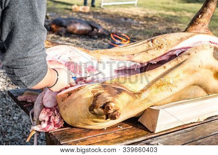 Butchers Slaughtering A Pig