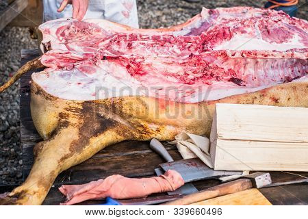Butchers Slaughtering A Pig