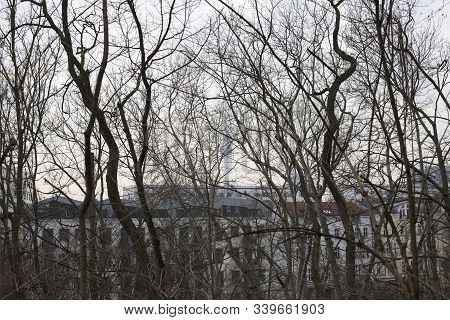 The Popular Volkspark Friedrichshain In Berlin In Winter On A Grey Day