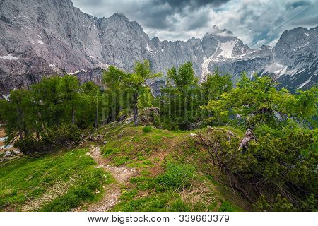 Beautiful Spring Mountain Landscape With Green Plants, Pine Trees And Hiking Trail, Kranjska Gora, J