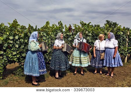 Aradac, Serbia, September 07, 2019. Traditional Celebration Of The Beginning Of Grape Harvesting Tha