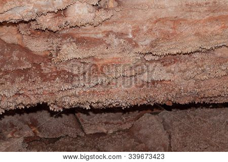 A Detailed Section Of Frostwork And Popcorn Style Cave Features At Wind Cave National Park, South Da