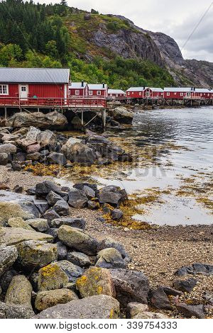 Norway Amazing Nature