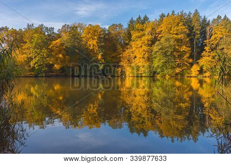 Autumn Morning At Lake Thal Near Graz, Styria Region, Austria