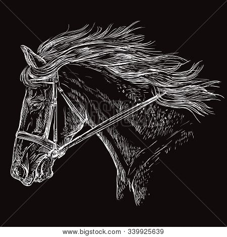 Horse Portrait With Bridle. Beautiful Horse Head With Long Mane In Profile In White Color Isolated O