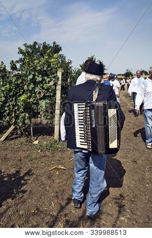 Aradac, Serbia, September 07, 2019. Traditional Celebration Of The Beginning Of Grape Harvesting Tha