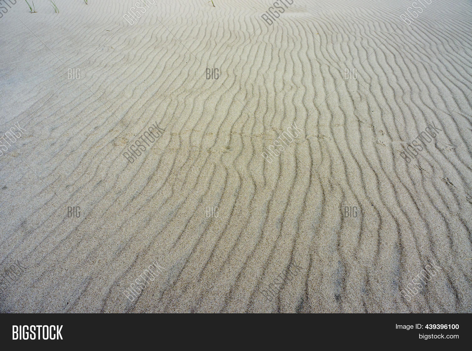 Natural Sea Sand River Image & Photo (Free Trial) | Bigstock