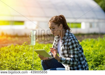 Woman Farmer Crouching In Field Using Tablet Modern Technology In Agriculture. Young Agronomist Meas