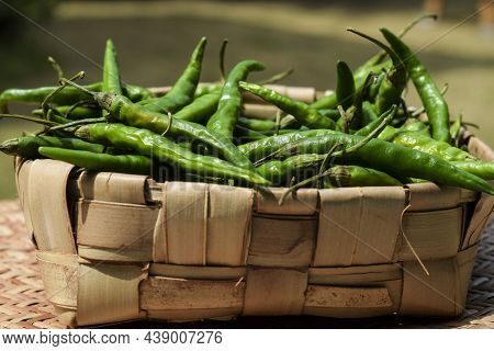 Side View Of Bamboo Wicker Basket With Heap Of Green Chillies. Raw Organic Stack Of Green Chilly In 