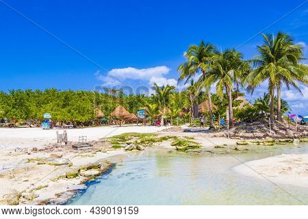 Tropical Mexican Beach Cenote Punta Esmeralda Playa Del Carmen Mexico.