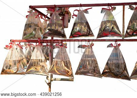 Fish, Turtles, Eels In Plastic Bags Hanging. For Buddhists To Pay A Fee To Release Them Into Nature 