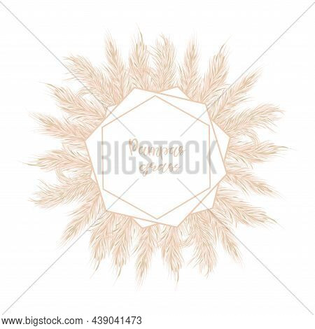 Dry Pampas Grass Soft Frame. For Wedding Invitations Or Postcards. Vector Hand Drawn Illustration On