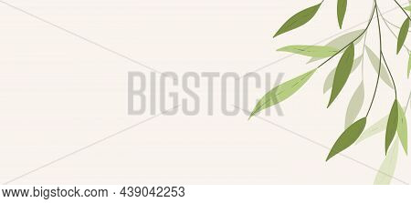 Floral Web Banner With Drawn Color Exotic Leaves. Nature Concept Design. Modern Floral Compositions 
