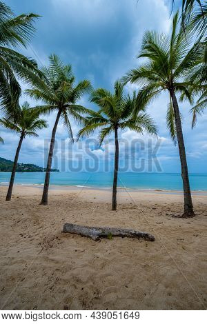Kamala Beach On Phuket Island In Thailand. Hammock At The Beach Of Kamal In Phuket Thailand