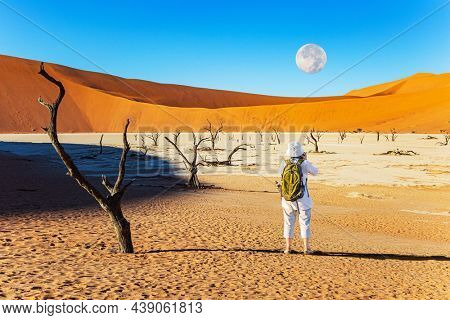  The moon is low on the horizon. Woman tourist with green backpack takes pictures of beautiful landscape. The Namib Naukluft Park. Namibia. Africa. The clay plateau Sossusflei 