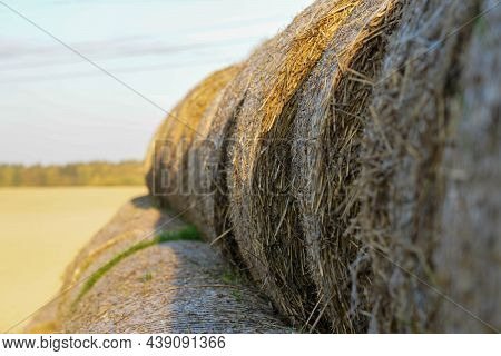 Photo Of Yellow Haystacks On A Field On A Sunny Day.