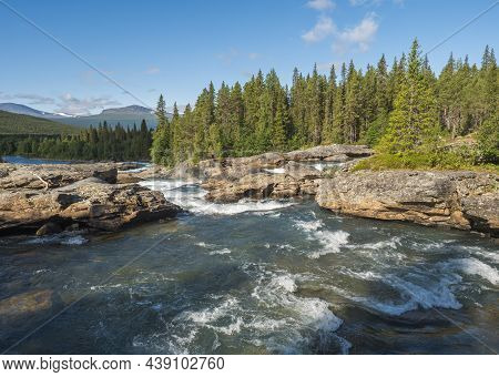 Beautiful Northern Landscape With Rapids And Cascades Of Wild River Kamajokk, Boulders And Spruce Tr