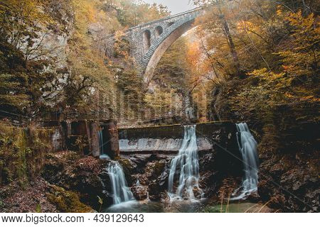 Vintgar Gorge (soteska Vintgar) In Triglav National Park In Slovenia
