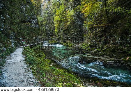 Vintgar Gorge (soteska Vintgar) In Triglav National Park In Slovenia