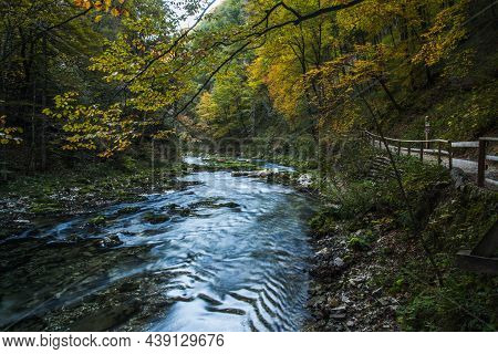 Vintgar Gorge (soteska Vintgar) In Triglav National Park In Slovenia