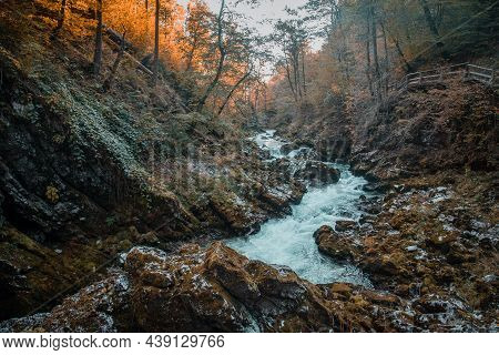 Vintgar Gorge (soteska Vintgar) In Triglav National Park In Slovenia