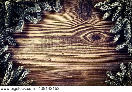 wooden board with fir brunches and text field