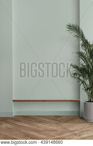 Empty mint green room interior design with palm tree