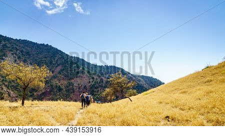 August 25, 2016, Shirkent, Tajikistan: A group of tourists on a trail in Hissar Valley in Tajikistan