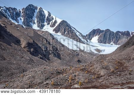 Beautiful Autumn Landscape With A Glacier, Snow, Mountains And Golden Larch Trees Growing On The Roc