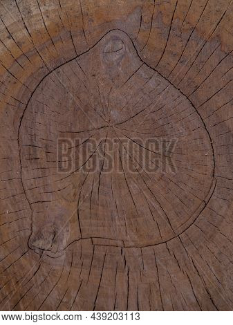 Saw Cut Texture With Annual Rings And Cracks. Old Tree Stump As Background. Construction Background.