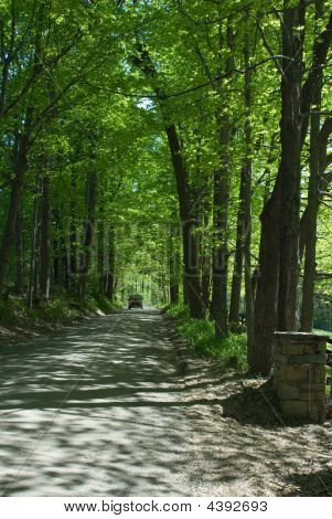 Spring Country Road