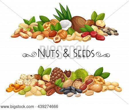 Nuts, Seeds And Grains Horizontal Banners. Macadamia, Almond, Corn Nuts, Nutmeg, Cashew, Coconut, Ch