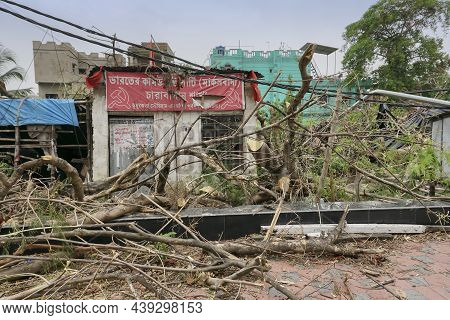 Howrah, West Bengal, India - 31st May 2020 : Super Cyclone Amphan Uprooted Tree Which Fell , Broke H