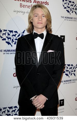 LOS ANGELES - MAR 23: Lou Wegner dorazí na 2013 Genesis ocenění Benefiční galavečer v Beverly Hil