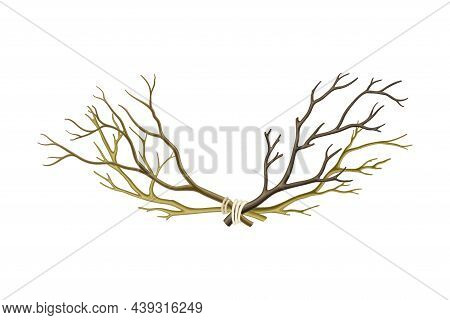 Bare Tree Branch Tied In Semi Circle Vector Illustration