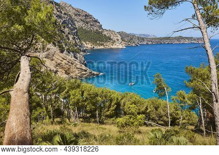 Turquoise Waters In Mallorca. Coll Baix Beach. Mediterranean Coastline. Spain
