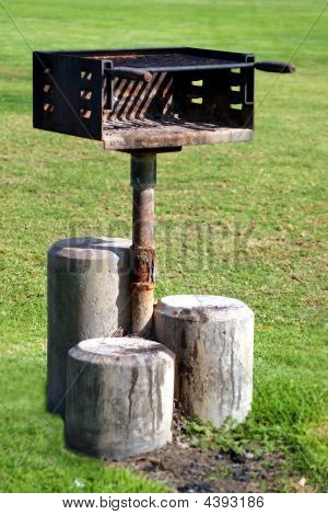 Barbecue nel parco