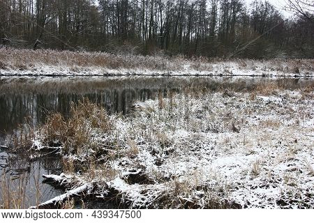 Belarus.minsk.river Svisloch.low-snow Winter. The Dry Grass On Coast Is Hardly Covered With Snow.