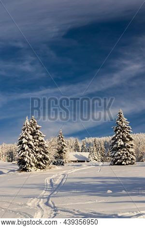 Winter landscape around Mala Upa, Giant Mountains (Krkonose), Northern Bohemia, Czech Republic