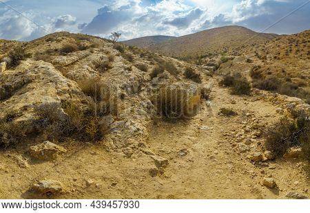 View Of A Wadi (desert Valley) Landscape In Yeruham Ridge, The Negev Desert, Southern Israel