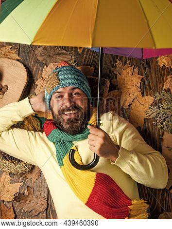 No More Rain. Time To Rest. In Love With Nature. Any Weather Is Good. Bearded Man Among Autumn Maple