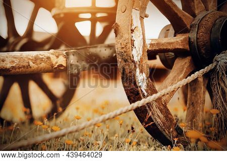 An Old Wooden Cart Stands In The Village On A Dandelion Field, Illuminated By Warm Sunlight. The Pea